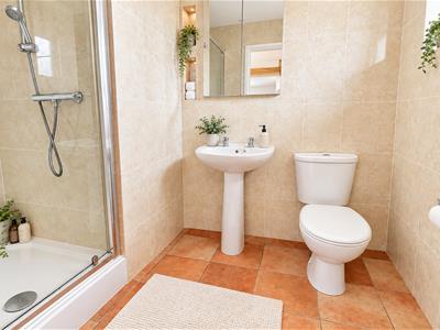 Picture 7